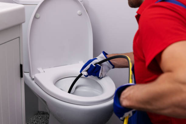 Best Plumbing Services Near Me  in Elk Mound, WI