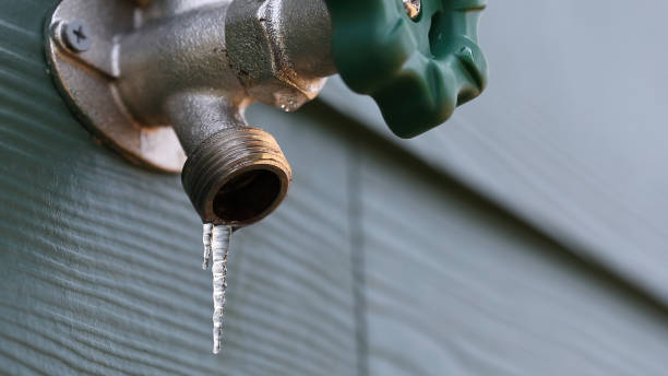 Best Water Leak Repair  in Elk Mound, WI